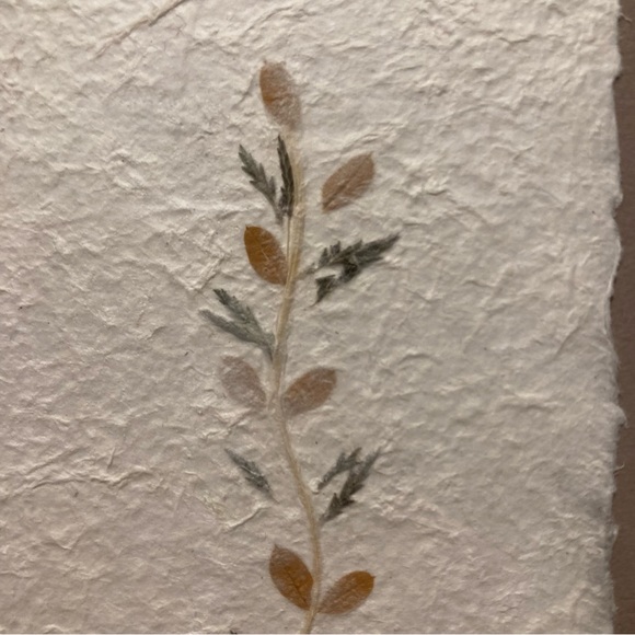 Dried and Pressed Flower Wall Decor - Picture 5 of 7